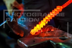 Photographie-Passion-Xavier-Rocton-02049